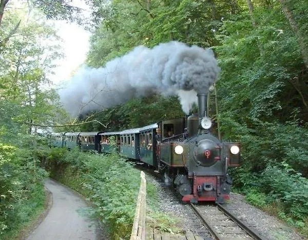 Merkinger 3* Behamberg